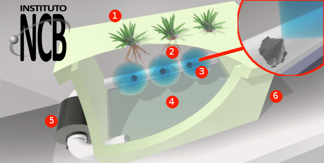 Figura 3 – Sistema simples – 1: Planta – 2: Raíz – 3: Bico injetor – 4: Nutrientes – 5: Bomba – 6: Recipiente de cultivo.
Figura 3 – Sistema simples – 1: Planta – 2: Raíz – 3: Bico injetor – 4: Nutrientes – 5: Bomba – 6: Recipiente de cultivo.