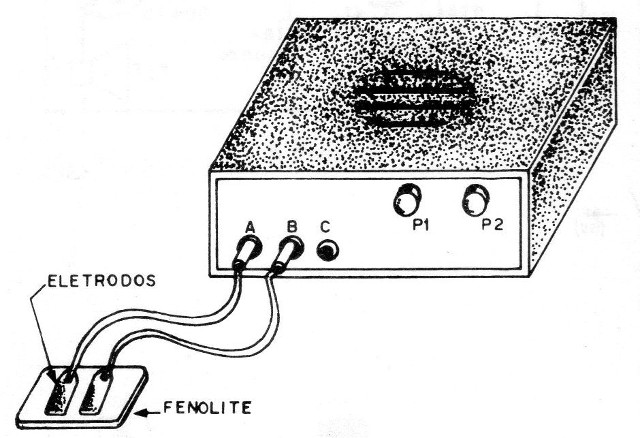 Figura 11 – Os eletrodos
