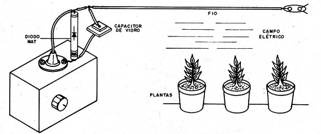    Figura 15 – Estudando a influência de campos elétricos em plantas
