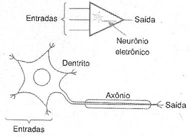 O neurônio-elemento básico dos sistemas inteligentes. 