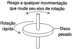 Princípio de funcionamento do giroscópio. 