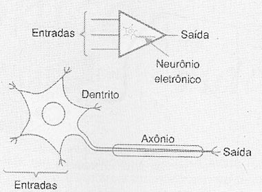 O neurônio-elemento básico dos sistemas inteligentes.
O neurônio-elemento básico dos sistemas inteligentes.