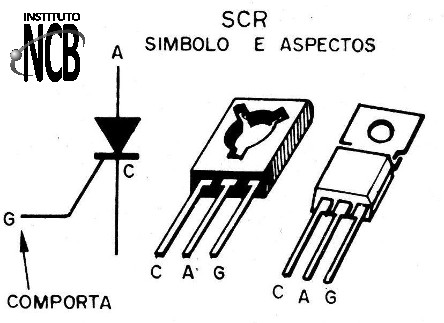 Figura 4 - O SCR
Figura 4 - O SCR