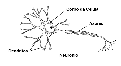 Figura 1 – A célula nervosa
Figura 1 – A célula nervosa