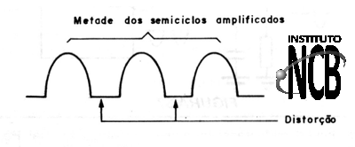 Figura 11
