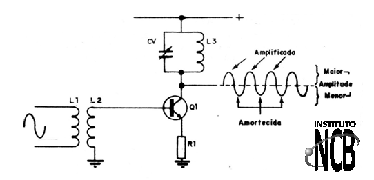 Figura 12
