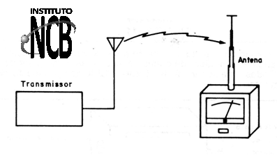 Figura 10
