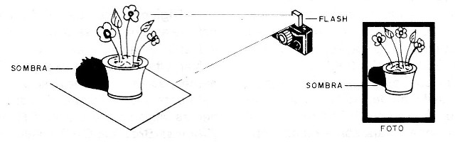 Figura 1 – Sombra em foto
Figura 1 – Sombra em foto