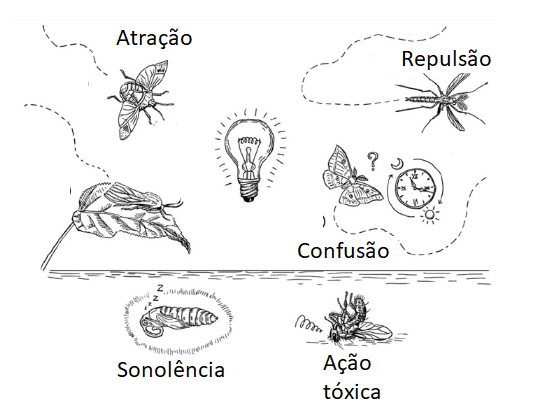 Figura 4
Figura 4