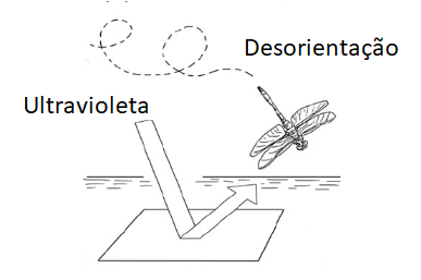 Figura 5
Figura 5