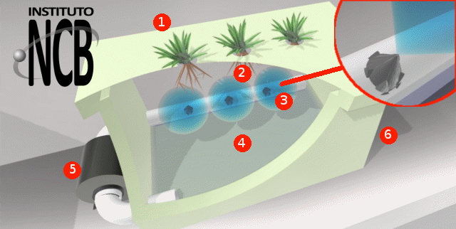 Figura 3 – Sistema simples – 1: Planta – 2: Raíz – 3: Bico injetor – 4: Nutrientes – 5: Bomba – 6: Recipiente de cultivo.
