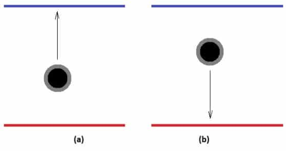 Figura 2 - Detecção de direção do movimento de um objeto com base nas linhas de referência

