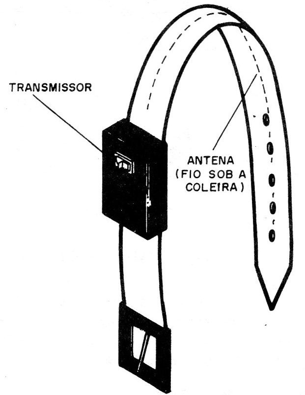 Figura 1 – Instalando o transmissor numa coleira
Figura 1 – Instalando o transmissor numa coleira