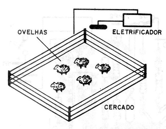 Figura 1 – Usando a aparelho num pasto
Figura 1 – Usando a aparelho num pasto