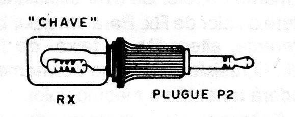  Figura 1 – O plugue “programado”
