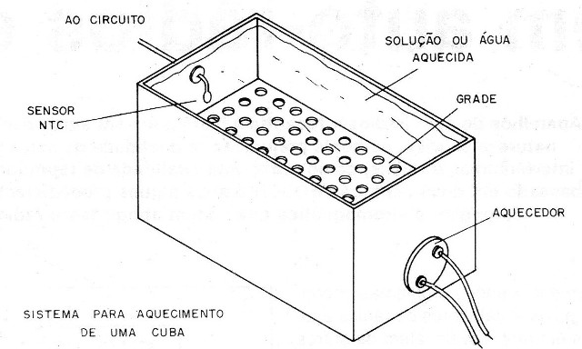    Figura 10 – Aplicação em estufa
