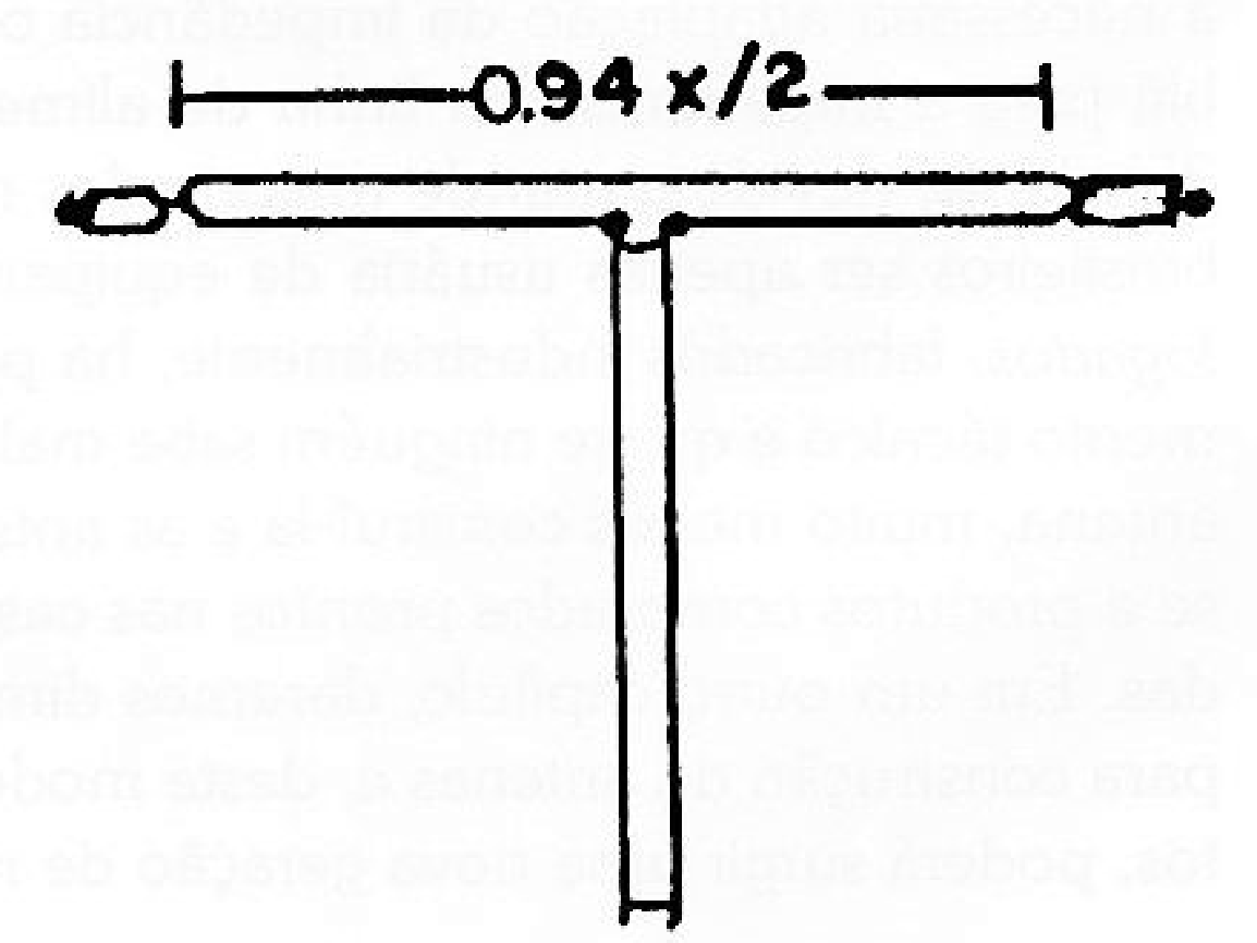 Figura 4 - Antena doublé
