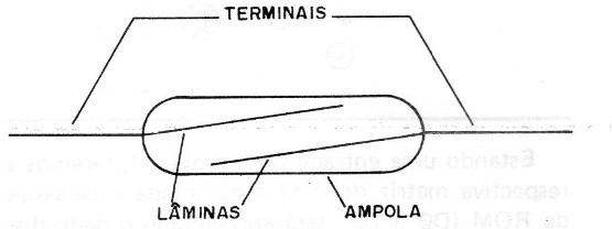    Figura 1 – Reed switches
