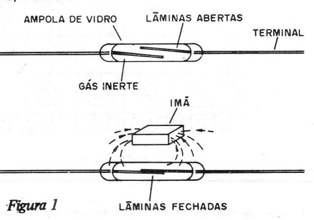    Figura 1 – Um reed-switch
