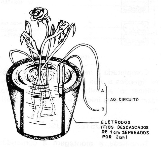 Figura 14 – detector de umidade
Figura 14 – detector de umidade