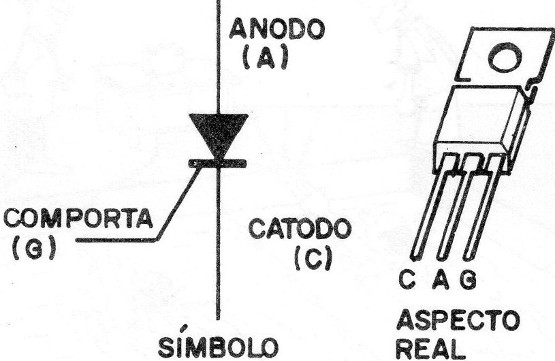 Figura 5
Figura 5