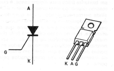 Figura 5
Figura 5