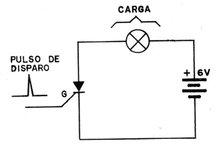 Figura 6
