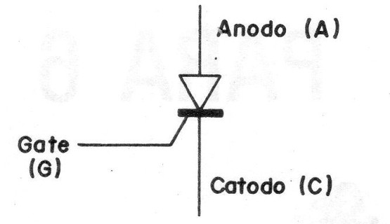 Figura 1
