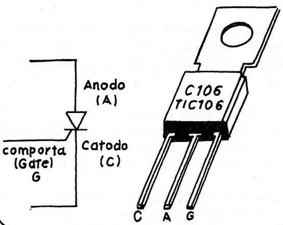 Figura 5
