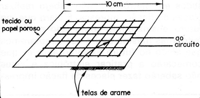 Figura 5
Figura 5