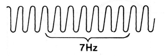 Figura 5
