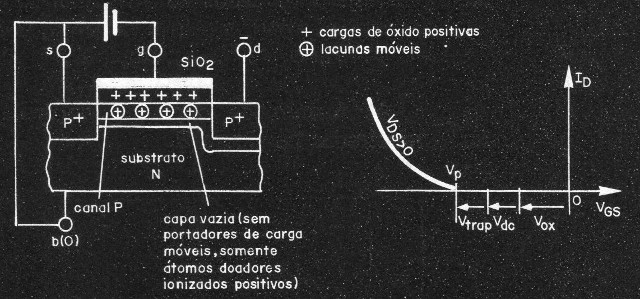 Figura 6
