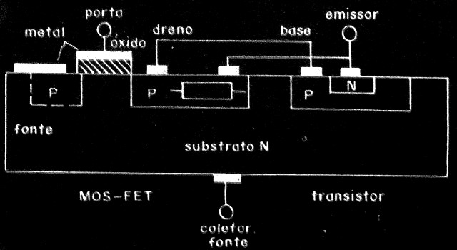 Figura 12
