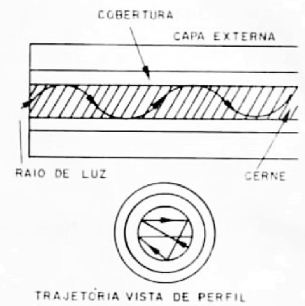 Fibras Ópticas
Fibras Ópticas