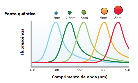 Figura 1 – Curva de emissão dos pontos quânticos conforme diâmetro
Figura 1 – Curva de emissão dos pontos quânticos conforme diâmetro