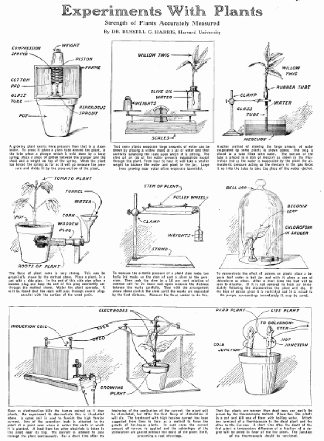 Figura 1 – Página com o artigo original de julho de 1924.
Figura 1 – Página com o artigo original de julho de 1924.