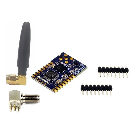 Figura 2 - módulo LoRaWAN Radioenge
