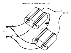 Figura 2
Figura 2