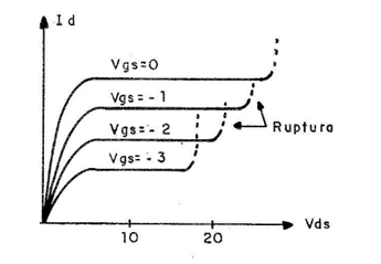 Figura 3
Figura 3