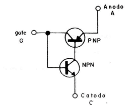Figura 2
Figura 2