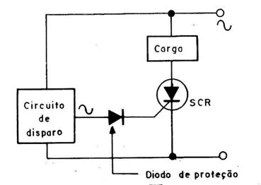 Figura 3
Figura 3