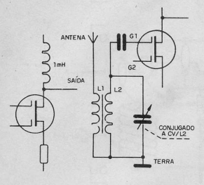 Figura 5
