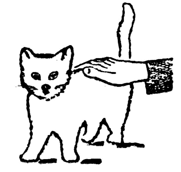 FIG. 2 - O gato eletrizado
