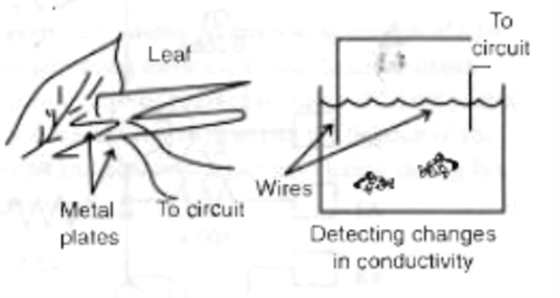 Figura 10 - Usando o detector de mentiras com outros sistemas vivos
