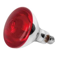Figura 4 – Uma lâmpada infravermelha incandescente
Figura 4 – Uma lâmpada infravermelha incandescente