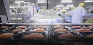Figura 6 – Luz de LED no tratamento de alimentos
Figura 6 – Luz de LED no tratamento de alimentos