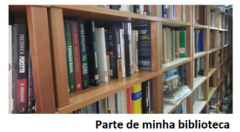 Meus livros Meus livros