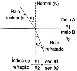 Figura 2 