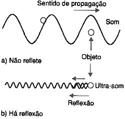 Figura 1 