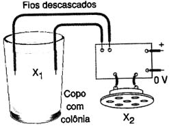 Experimento Experimento
